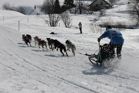 La Pesse 2015 Course de chiens de traineau (part1/2), IMG_5867