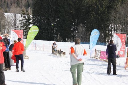 La Pesse 2015 Course de chiens de traineau (part1/2), IMG_5873