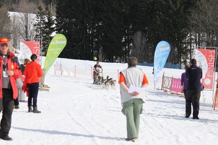 La Pesse 2015 Course de chiens de traineau (part1/2), IMG_5874