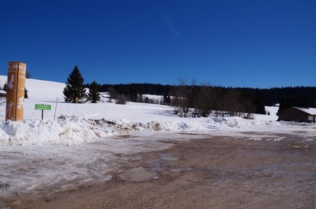 La Pesse 2015 Course de chiens de traineau ( part 2/2 ), DSC07935