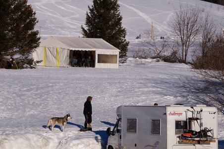 La Pesse 2015 Course de chiens de traineau ( part 2/2 ), DSC07954