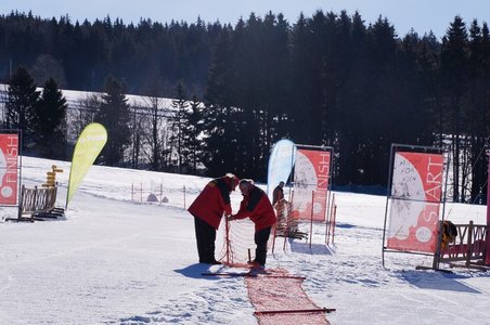 La Pesse 2015 Course de chiens de traineau ( part 2/2 ), DSC07961