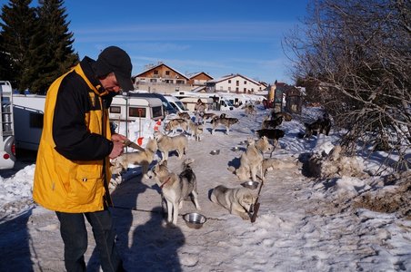 La Pesse 2015 Course de chiens de traineau ( part 2/2 ), DSC07965