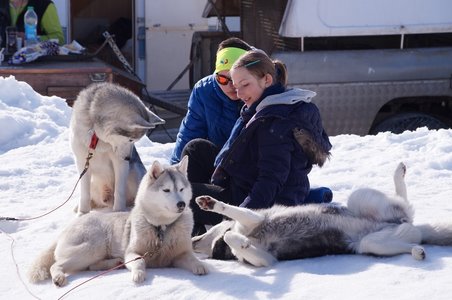 La Pesse 2015 Course de chiens de traineau ( part 2/2 ), DSC07972