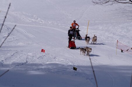 La Pesse 2015 Course de chiens de traineau ( part 2/2 ), DSC07981