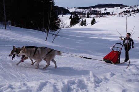 La Pesse 2015 Course de chiens de traineau ( part 2/2 ), DSC07982