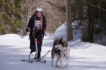 La Pesse 2015 Course de chiens de traineau ( part 2/2 ), DSC07998