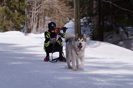 La Pesse 2015 Course de chiens de traineau ( part 2/2 ), DSC08000