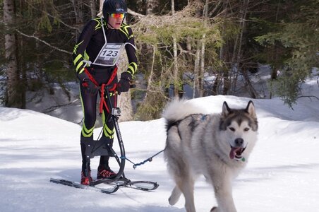 La Pesse 2015 Course de chiens de traineau ( part 2/2 ), DSC08001