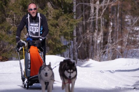 La Pesse 2015 Course de chiens de traineau ( part 2/2 ), DSC08004