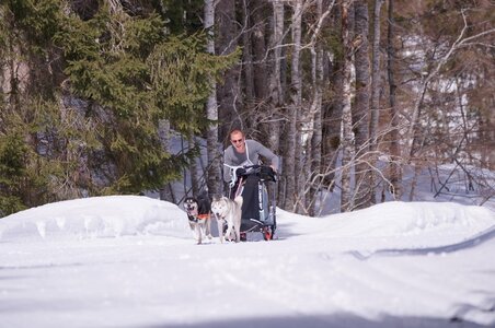 La Pesse 2015 Course de chiens de traineau ( part 2/2 ), DSC08007