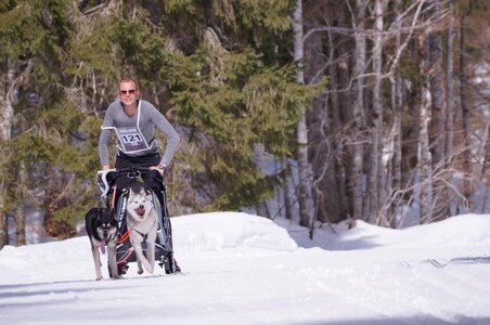La Pesse 2015 Course de chiens de traineau ( part 2/2 ), DSC08008