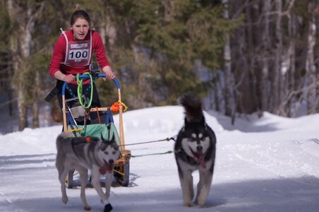 La Pesse 2015 Course de chiens de traineau ( part 2/2 ), DSC08011