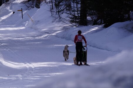 La Pesse 2015 Course de chiens de traineau ( part 2/2 ), DSC08012