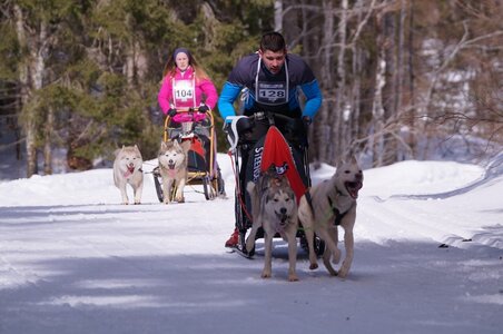 La Pesse 2015 Course de chiens de traineau ( part 2/2 ), DSC08017