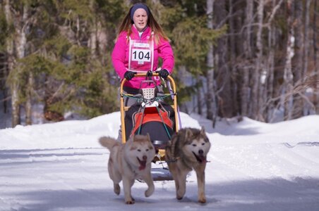La Pesse 2015 Course de chiens de traineau ( part 2/2 ), DSC08018
