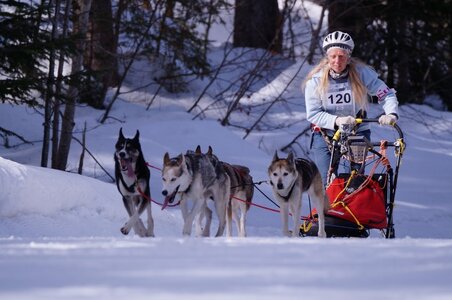 La Pesse 2015 Course de chiens de traineau ( part 2/2 ), DSC08031