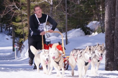La Pesse 2015 Course de chiens de traineau ( part 2/2 ), DSC08034