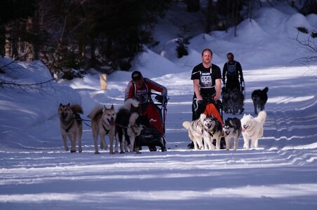 La Pesse 2015 Course de chiens de traineau ( part 2/2 ), DSC08037