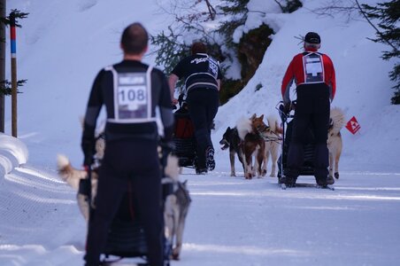 La Pesse 2015 Course de chiens de traineau ( part 2/2 ), DSC08045
