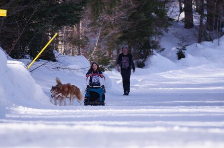 La Pesse 2015 Course de chiens de traineau ( part 2/2 ), DSC08050