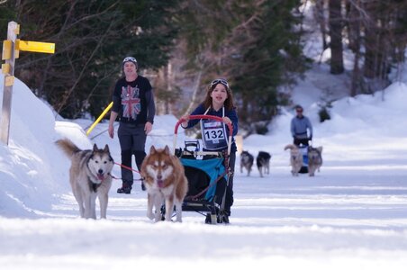 La Pesse 2015 Course de chiens de traineau ( part 2/2 ), DSC08053