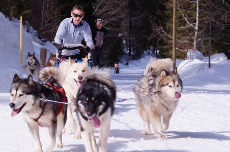 La Pesse 2015 Course de chiens de traineau ( part 2/2 ), DSC08057