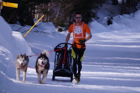 La Pesse 2015 Course de chiens de traineau ( part 2/2 ), DSC08058