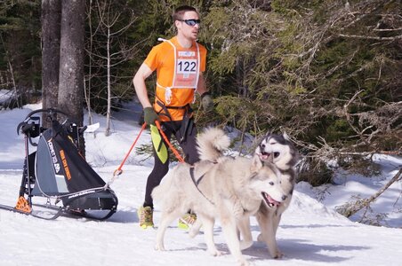 La Pesse 2015 Course de chiens de traineau ( part 2/2 ), DSC08059