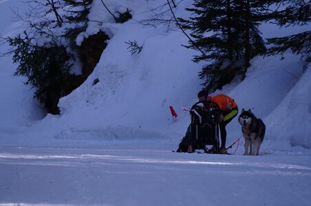 La Pesse 2015 Course de chiens de traineau ( part 2/2 ), DSC08060