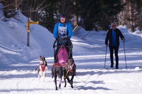 La Pesse 2015 Course de chiens de traineau ( part 2/2 ), DSC08071
