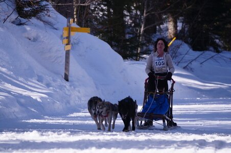 La Pesse 2015 Course de chiens de traineau ( part 2/2 ), DSC08074