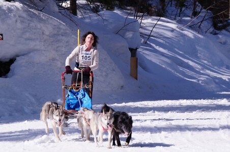 La Pesse 2015 Course de chiens de traineau ( part 2/2 ), DSC08077