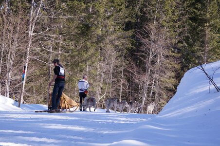 La Pesse 2015 Course de chiens de traineau ( part 2/2 ), DSC08100
