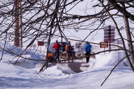 La Pesse 2015 Course de chiens de traineau ( part 2/2 ), DSC08124