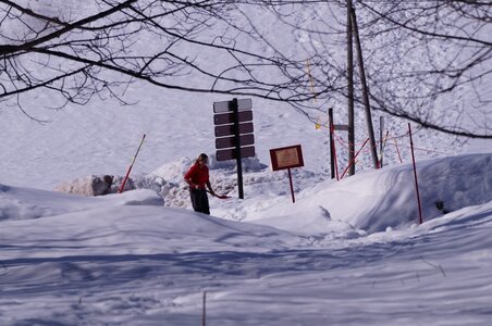 La Pesse 2015 Course de chiens de traineau ( part 2/2 ), DSC08126