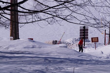 La Pesse 2015 Course de chiens de traineau ( part 2/2 ), DSC08129