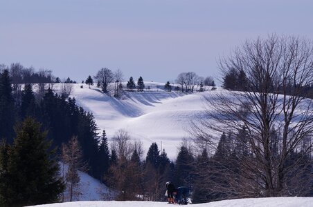 La Pesse 2015 Course de chiens de traineau ( part 2/2 ), DSC08131