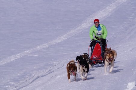 La Pesse 2015 Course de chiens de traineau ( part 2/2 ), DSC08146