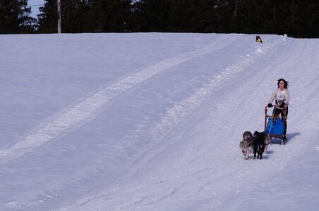 La Pesse 2015 Course de chiens de traineau ( part 2/2 ), DSC08147