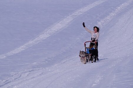 La Pesse 2015 Course de chiens de traineau ( part 2/2 ), DSC08148