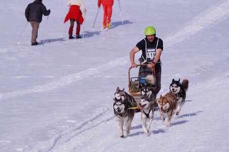 La Pesse 2015 Course de chiens de traineau ( part 2/2 ), DSC08156