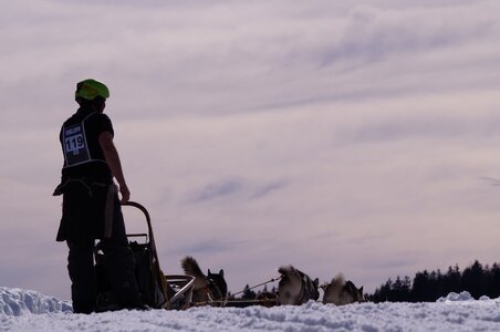 La Pesse 2015 Course de chiens de traineau ( part 2/2 ), DSC08158
