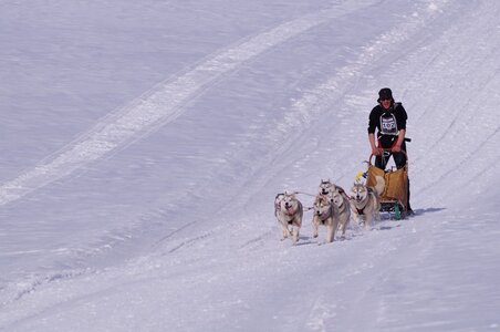 La Pesse 2015 Course de chiens de traineau ( part 2/2 ), DSC08159