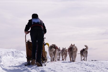 La Pesse 2015 Course de chiens de traineau ( part 2/2 ), DSC08163