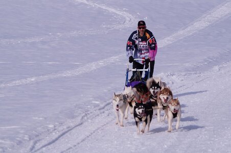 La Pesse 2015 Course de chiens de traineau ( part 2/2 ), DSC08174