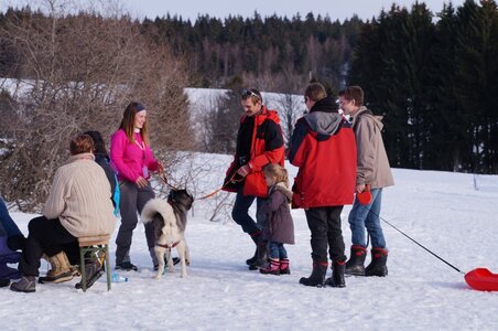 La Pesse 2015 Course de chiens de traineau ( part 2/2 ), DSC08183
