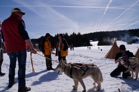 La Pesse 2015 Course de chiens de traineau ( part 2/2 ), DSC08188