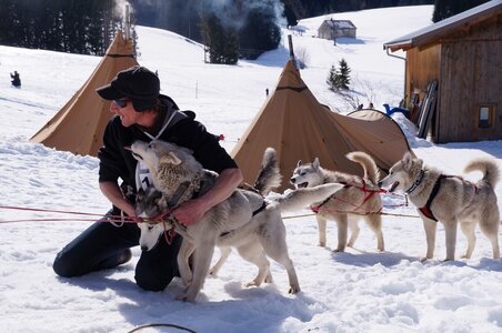 La Pesse 2015 Course de chiens de traineau ( part 2/2 ), DSC08189