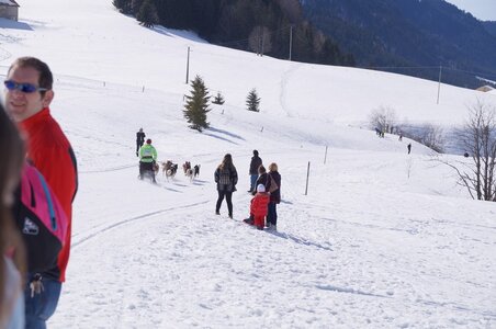 La Pesse 2015 Course de chiens de traineau ( part 2/2 ), DSC08200